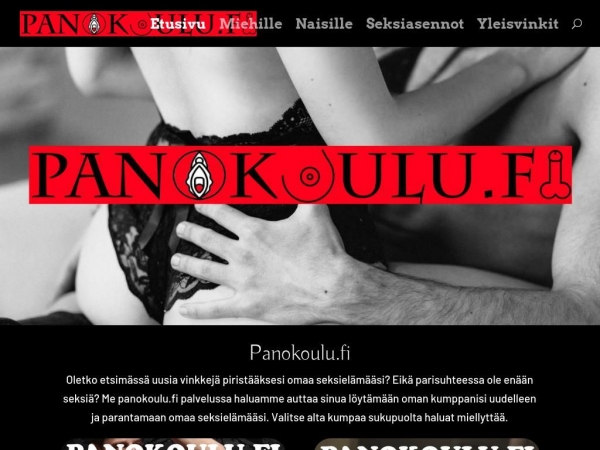 panokoulu.fi